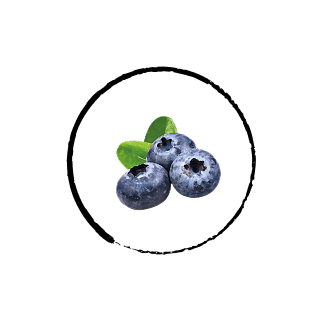 myrtille myrtille
